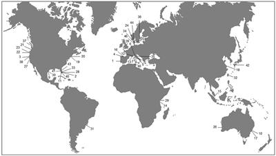 Seagrass-macroalgal interactions in a changing ocean